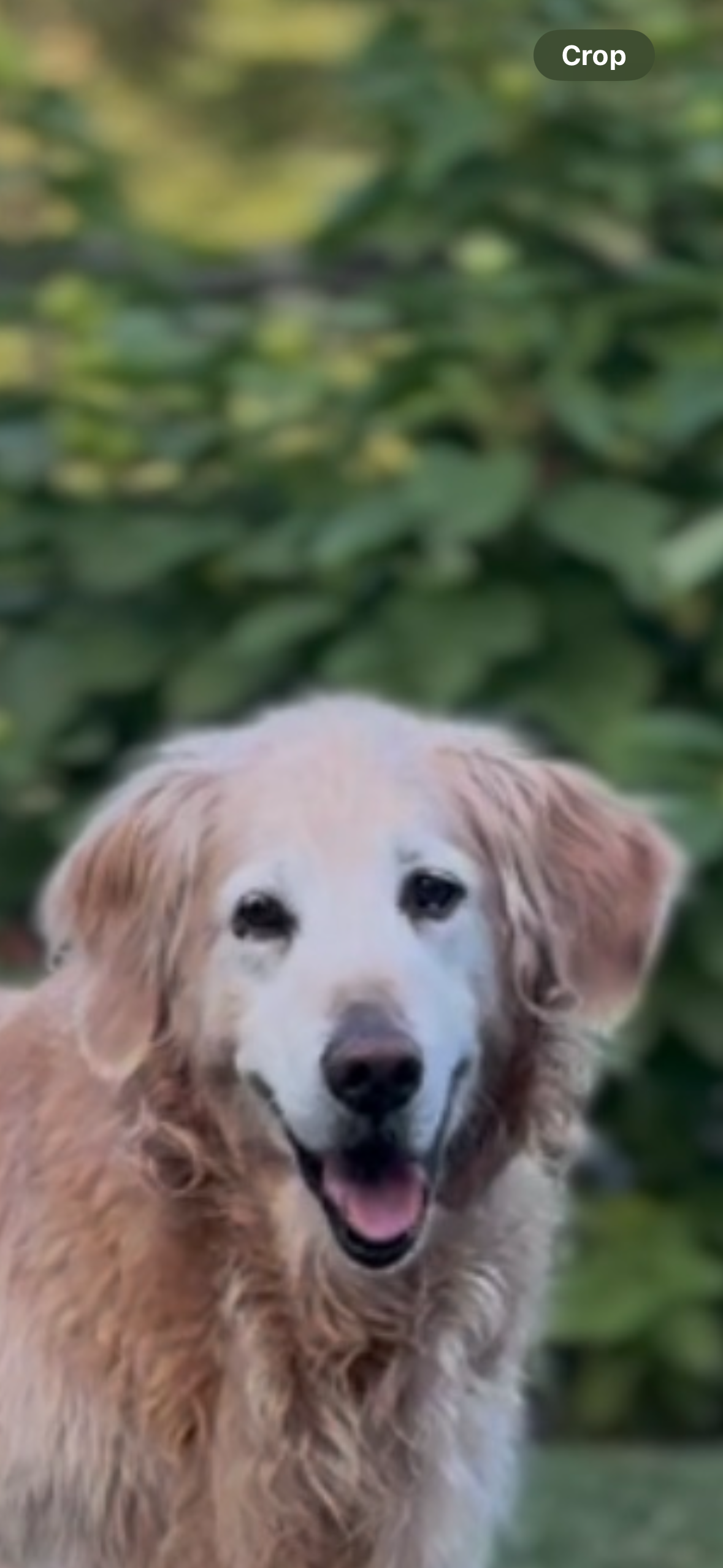 Custom Listing - Willis Necklace