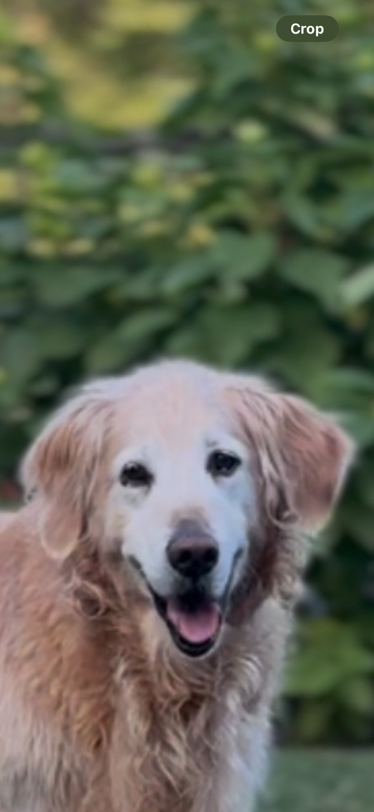 Custom Listing - Willis Necklace