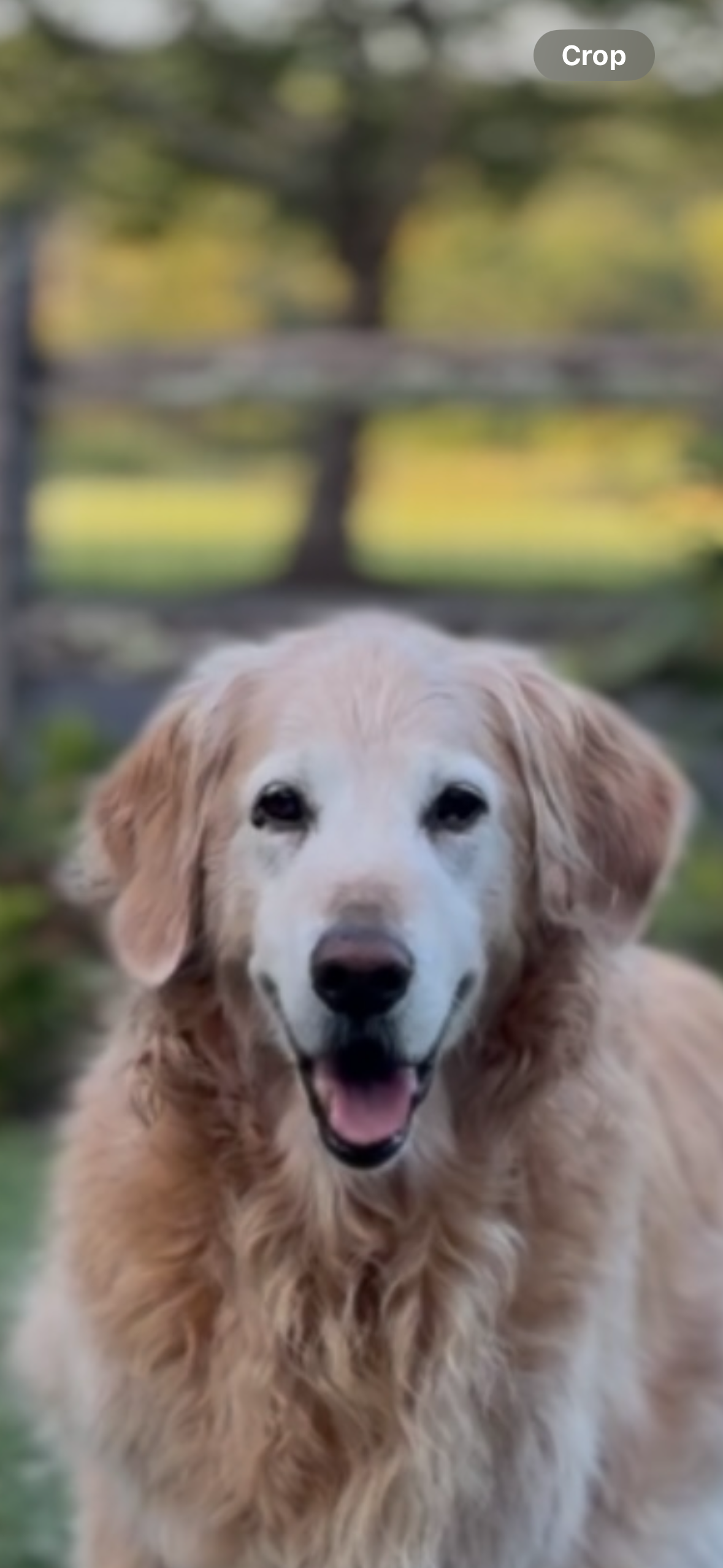 Custom Listing - Willis Necklace